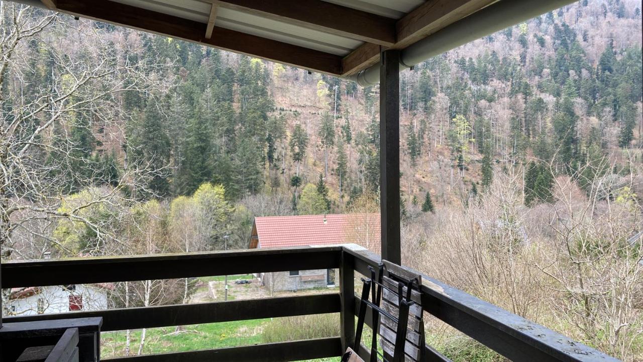 Le Chalet Du Coeur Mittlach Eksteriør billede