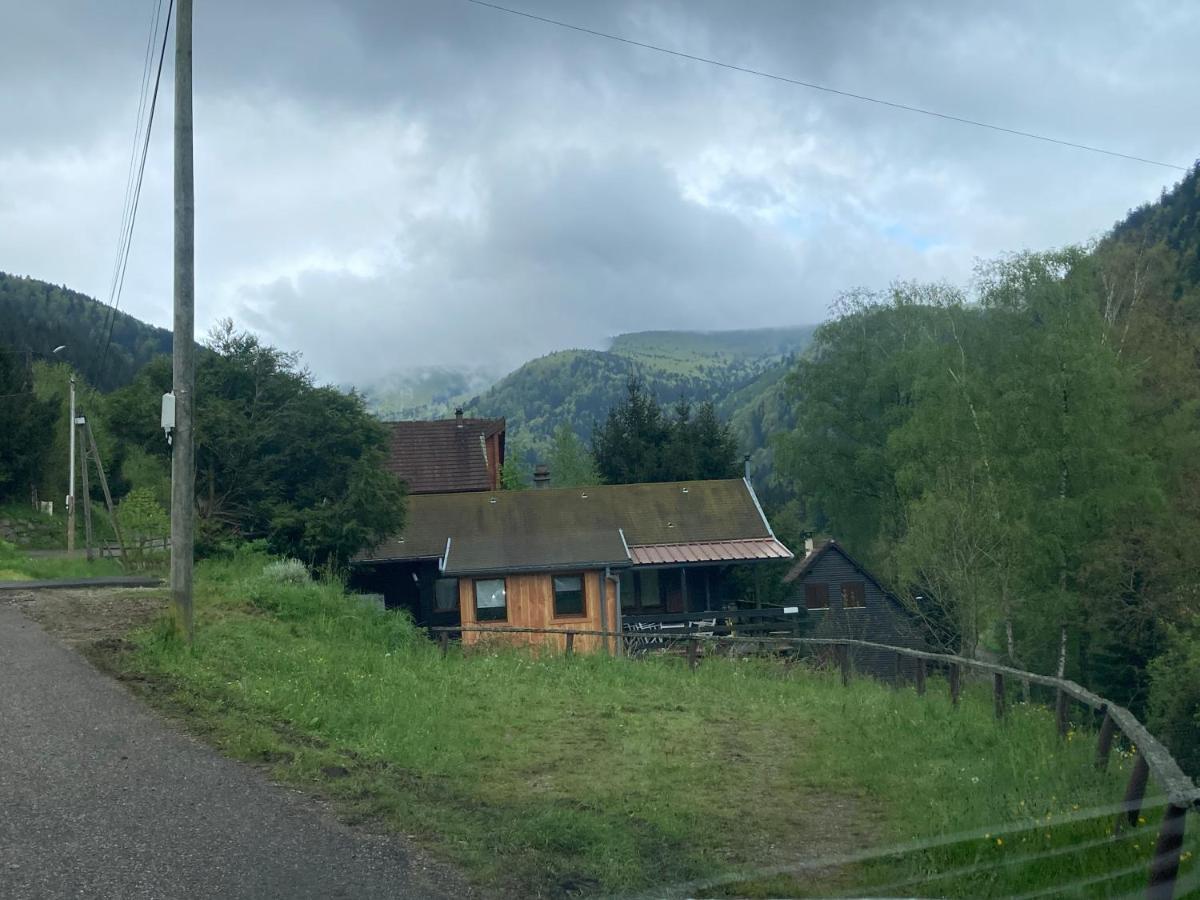 Le Chalet Du Coeur Mittlach Eksteriør billede