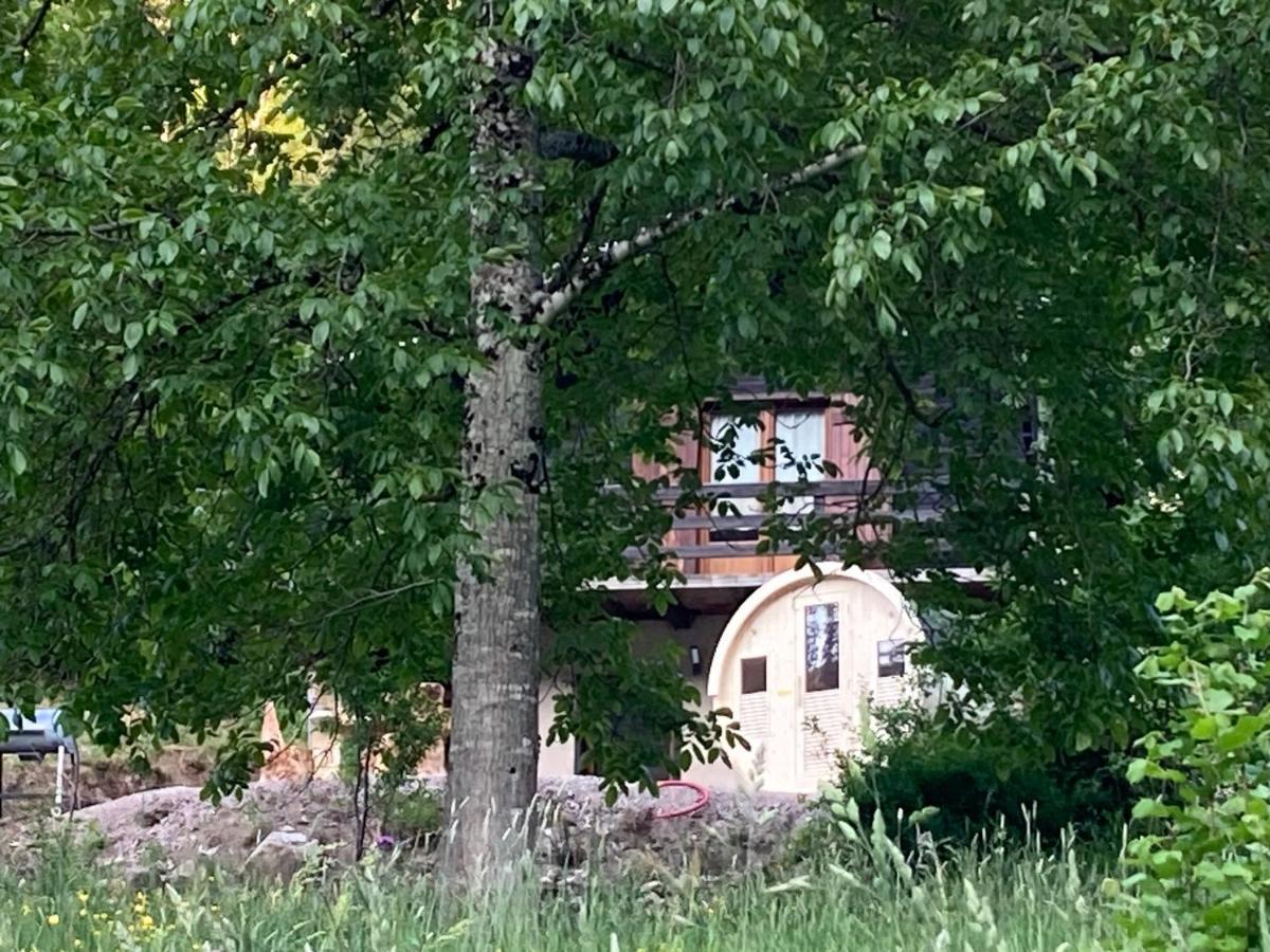 Le Chalet Du Coeur Mittlach Eksteriør billede