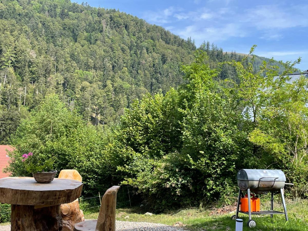 Le Chalet Du Coeur Mittlach Eksteriør billede