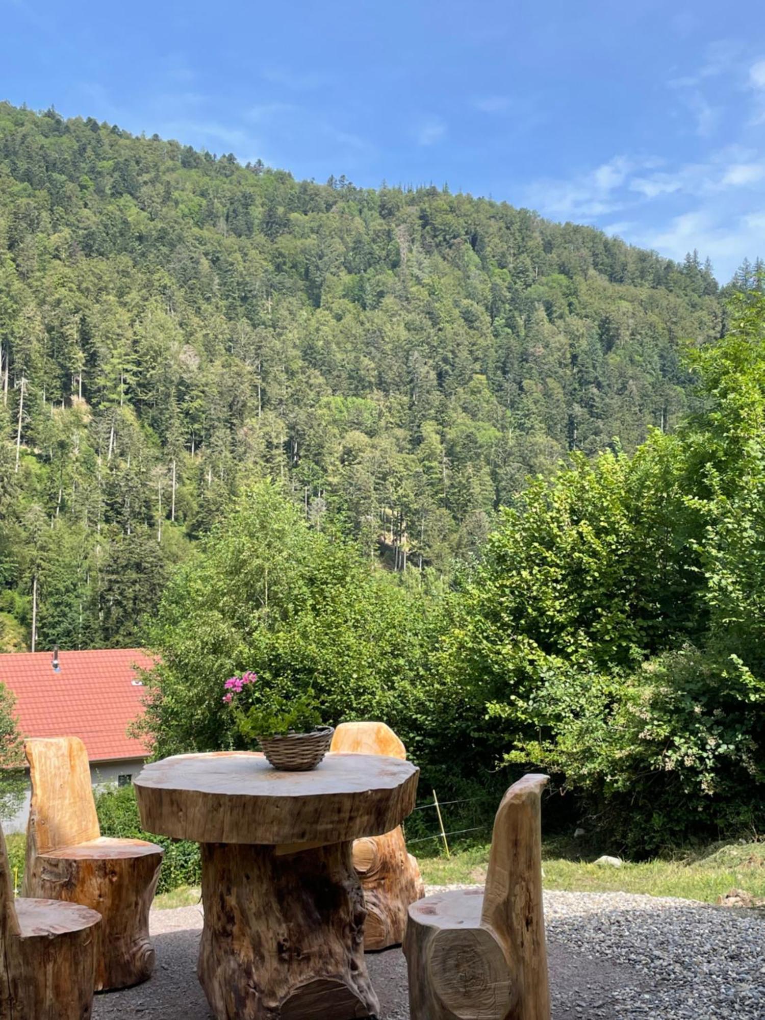 Le Chalet Du Coeur Mittlach Eksteriør billede
